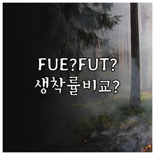 FUT와 FUE 차이점 비교 흉터 회..