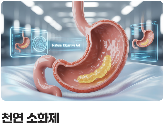 소화 불량에도 효과적인 이유