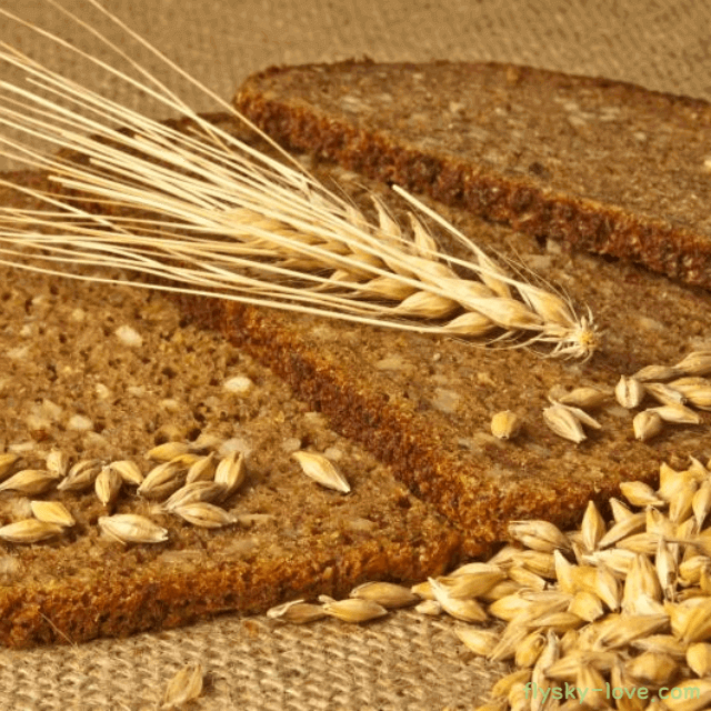 식이섬유와 무기질이 풍부한 통밀