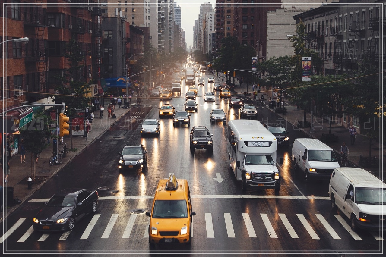 2025년 유류세·개별소비세 인하 관련 최신 정보 정리