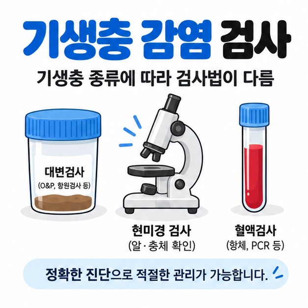 기생충 감염 검사를 대변 검체 용기 현미경 혈액검사 아이콘으로 표현한 카드뉴스