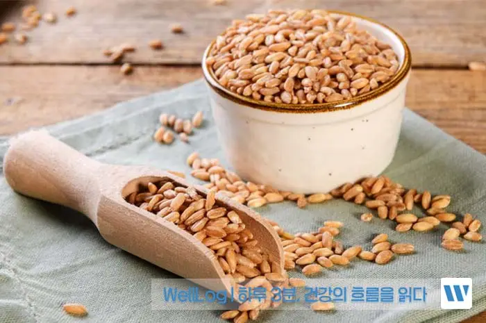 루피니빈, 파로 곡물 효능