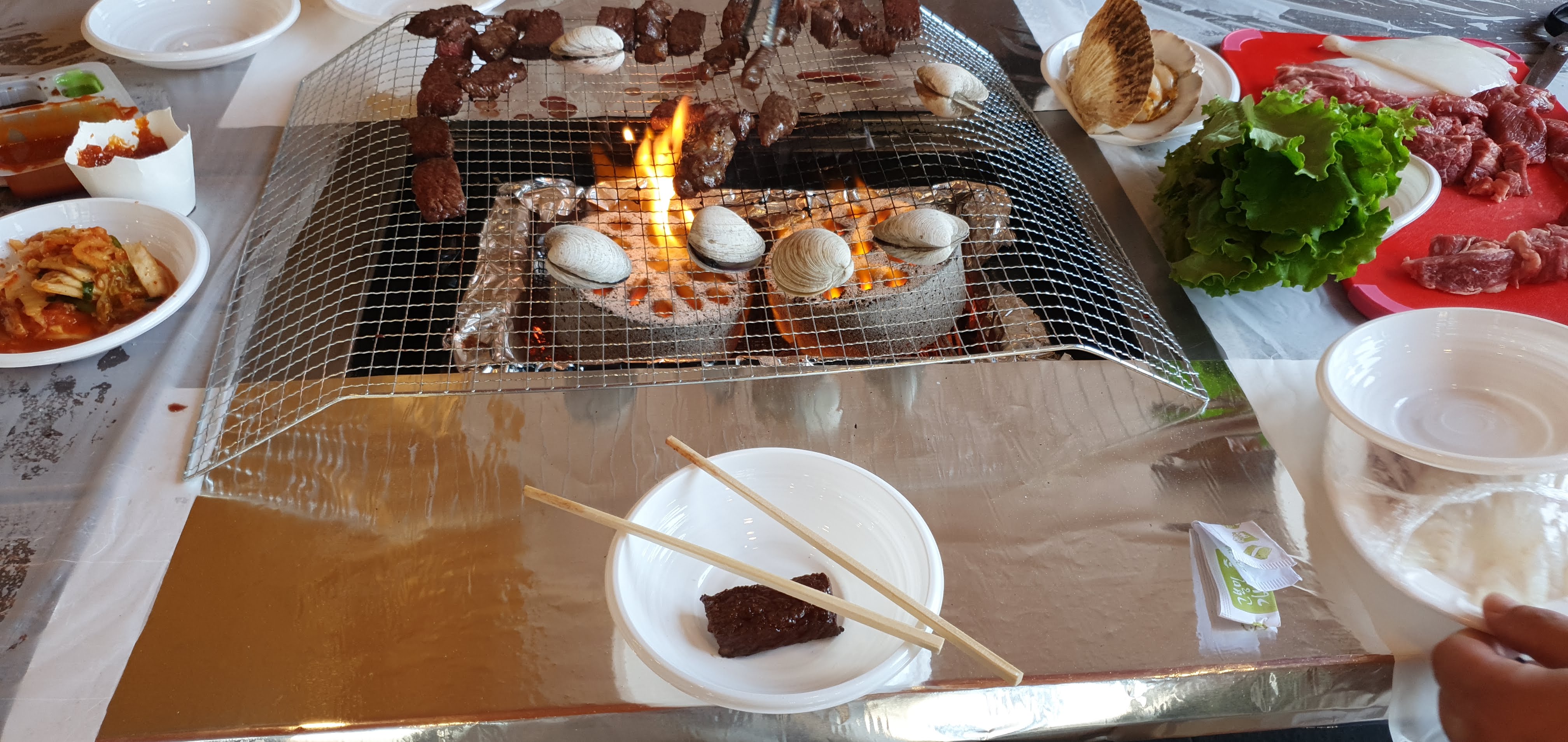 12. 보령머드 테마파크 관광여행