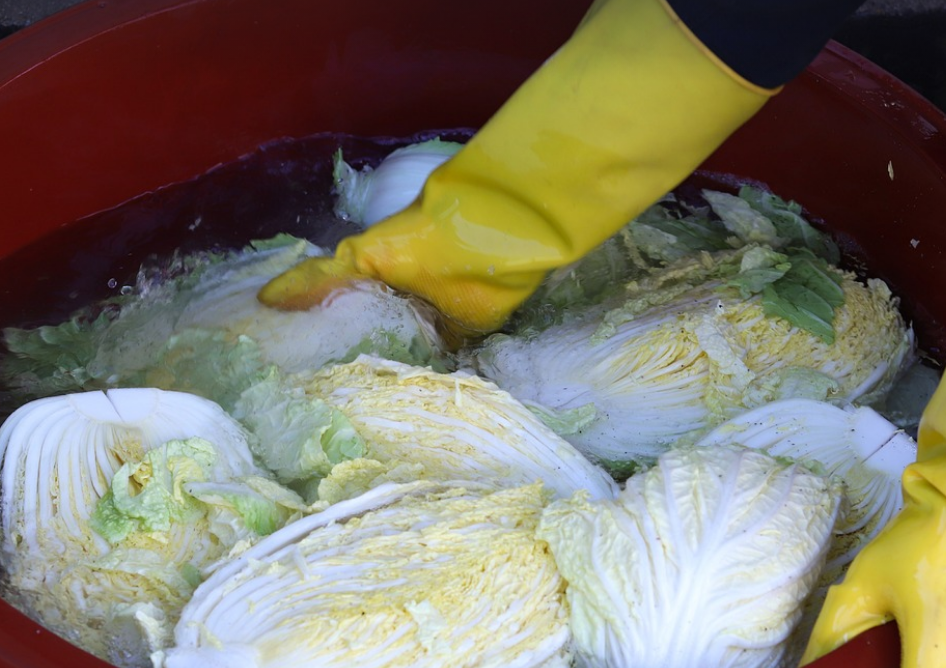 절임배추 20kg과 10kg 몇 포기 구매 바로가기