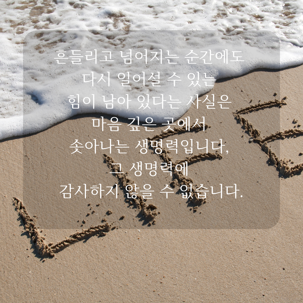 감사 글귀 좋은글 이미지 문구