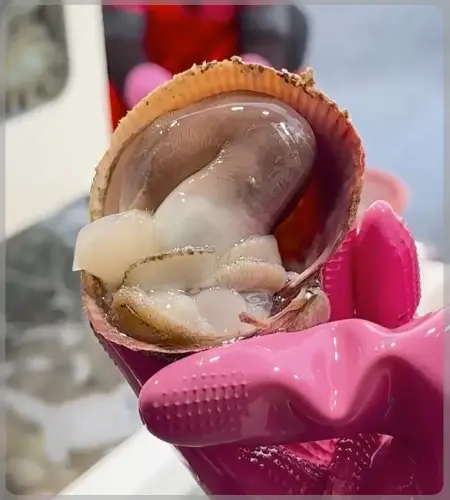 남당항 새조개 축제_20