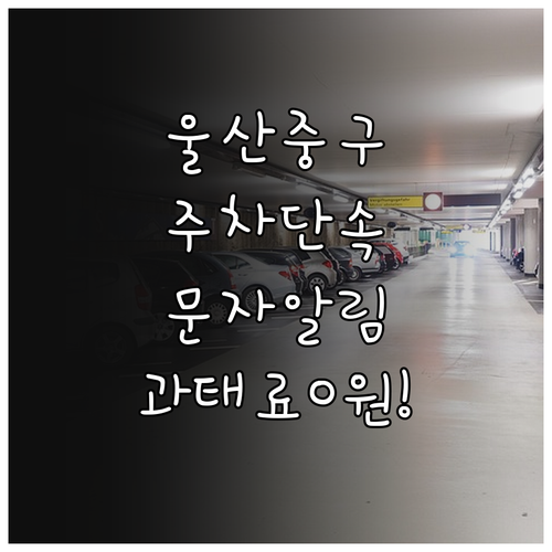 울산 중구 주차 단속 문자 서비스 신..
