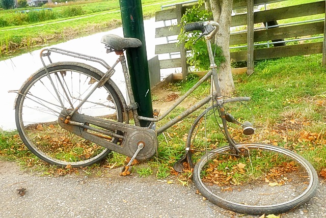 탄소중립포인트 참여 방법