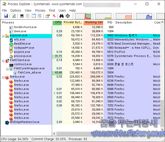 ProcessExplorer