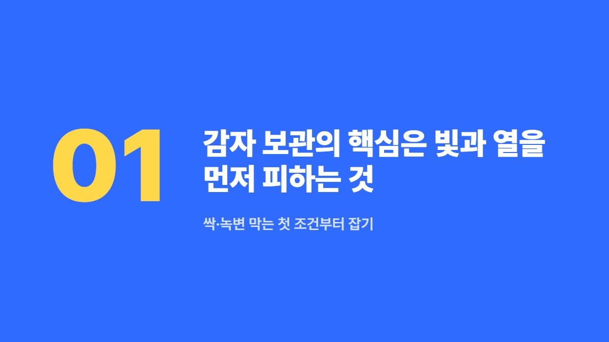 감자 보관의 핵심은 빛과 열을 먼저 피하는 것 — 싹·녹변 막는 첫 조건부터 잡기