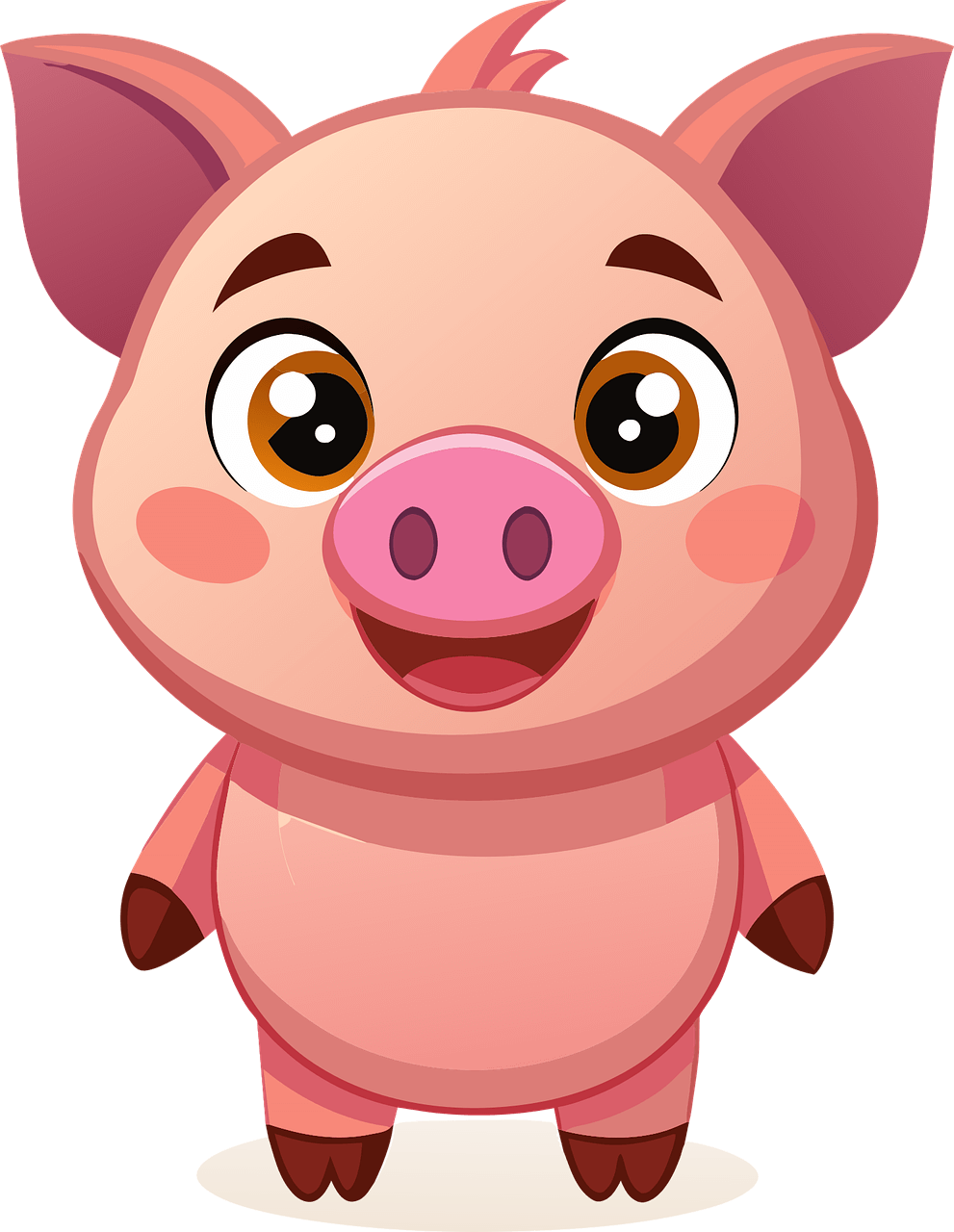 2025년 삼재띠 종류 돼지띠 토끼띠 양띠 운세 대박띠