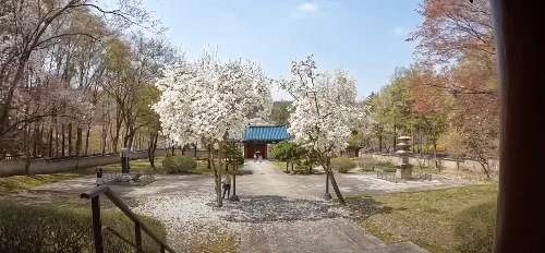 수도권 봄꽃 여행지, 봄꽃 축제