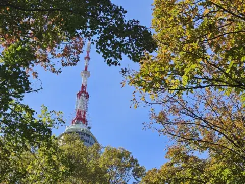 남산케이블카-단풍명소-남산타워가는법