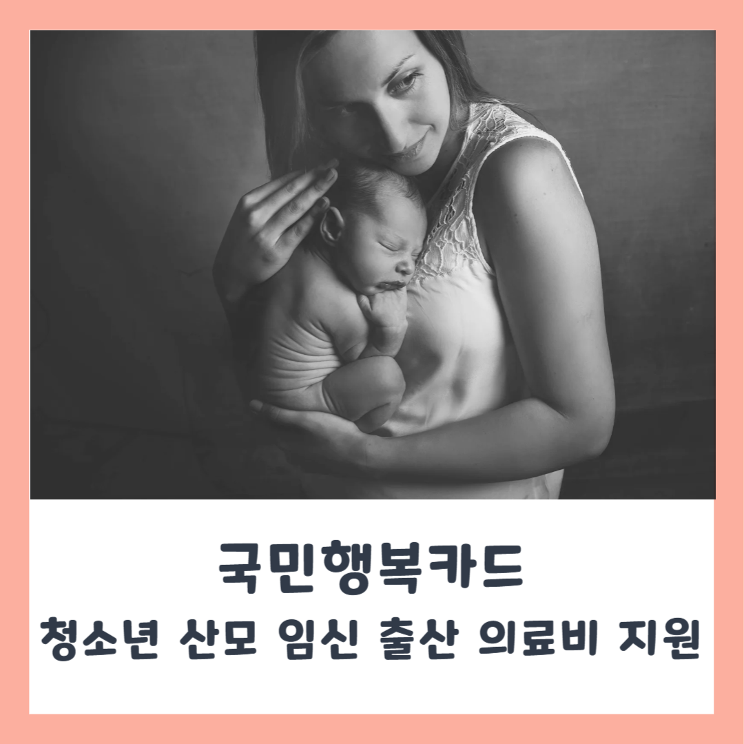 청소년산모 임신출산 의료비 지원, 국민행복카드 발급 방법