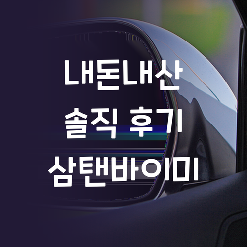 내돈내산 이노스 삼탠바이미 무빙 TV..