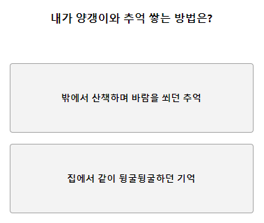 테스트잇 양갱 성격 테스트