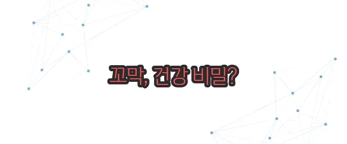꼬막 효능 이보다 자세히 설명할순없다