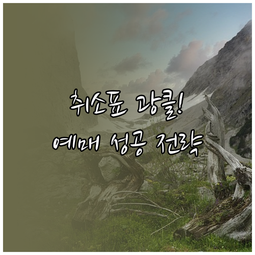 설날 귀성길 버스 예매 성공 전략과 ..