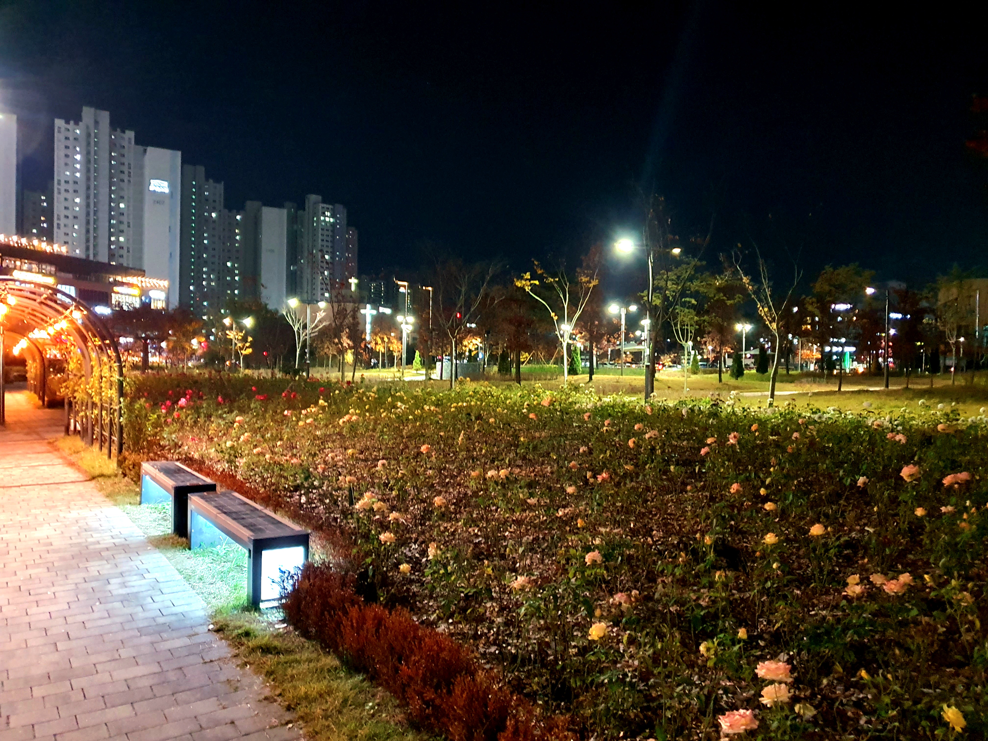 야경이-멋집니다.