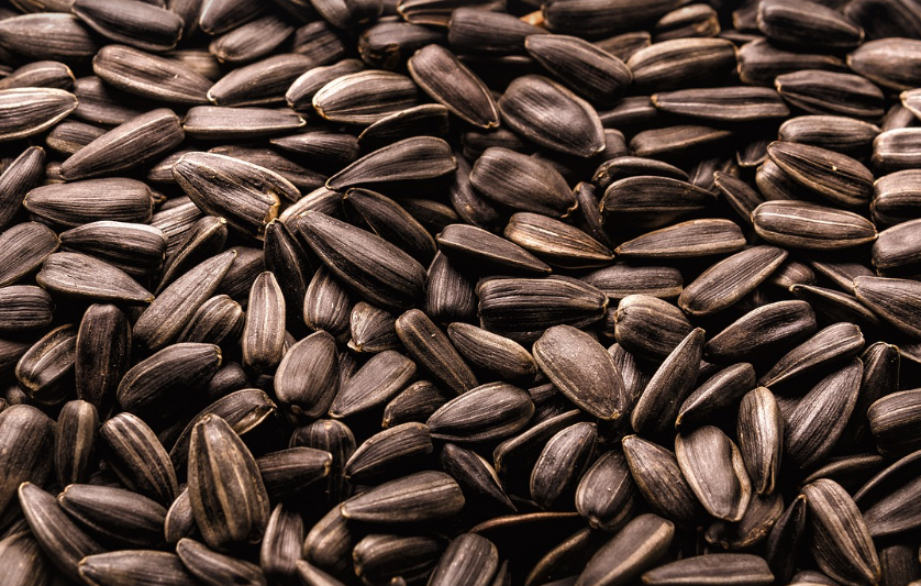 해뱌라씨의 모습