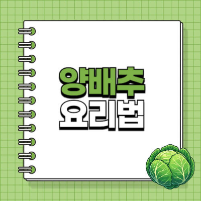 양배추 찌는법, 양배추 보관법, 양배추 세척법, 양배추 효능, 양배추 요리, 양배추 먹는법, 건강식, 다이어트 식단, 위 건강, 항산화 음식