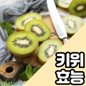 키위 효능과 부작용 비타민 풍부한 과일 정보_20