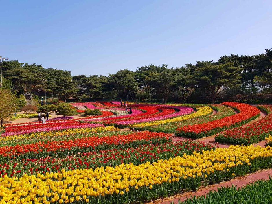 태안 가볼만한곳 베스트10