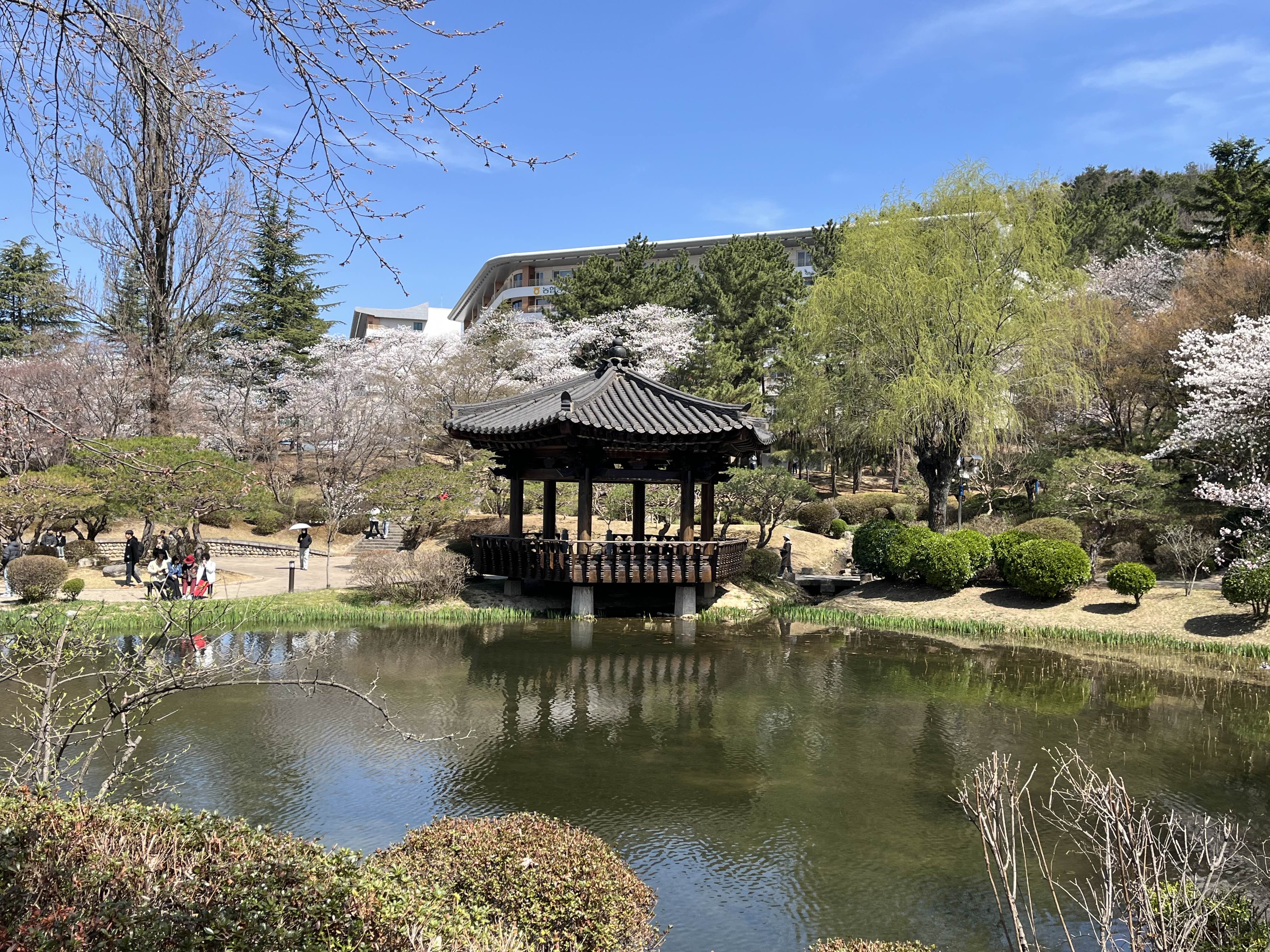 경주 보문정