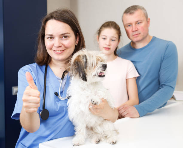 보험료 절약하는 꿀팁