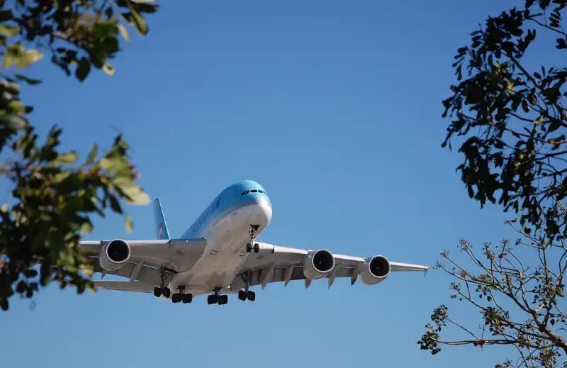 제주도 여행시 국내선 탑승 시 알면 좋은 꿀팁