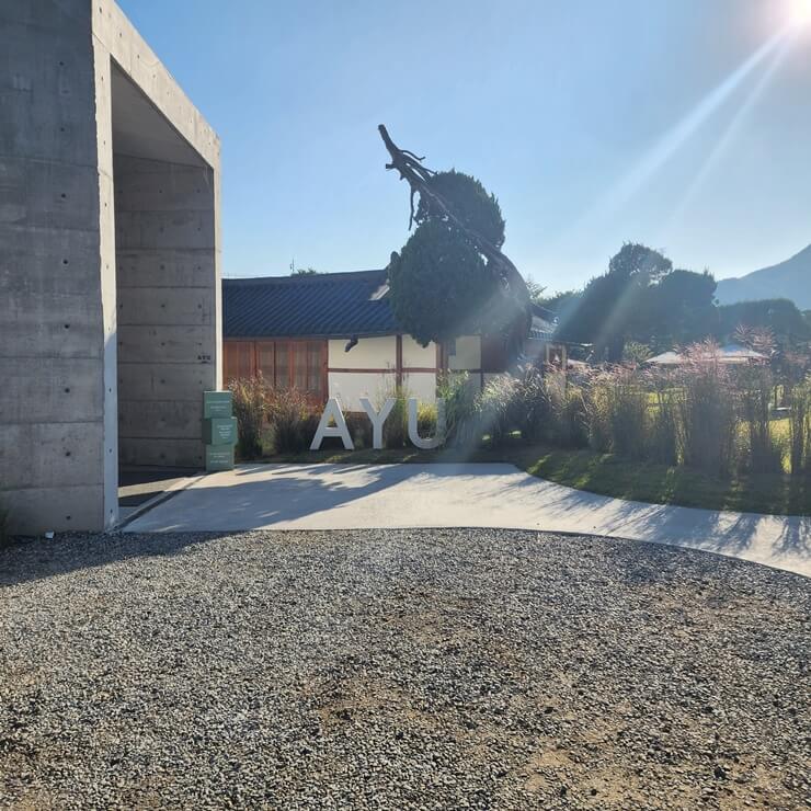 아유스페이스 카페 방문 후기&amp;#44; 리뷰