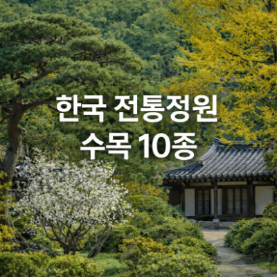 [정원수목]한옥 정원에 어울리는 한국 전통 수목 10가지