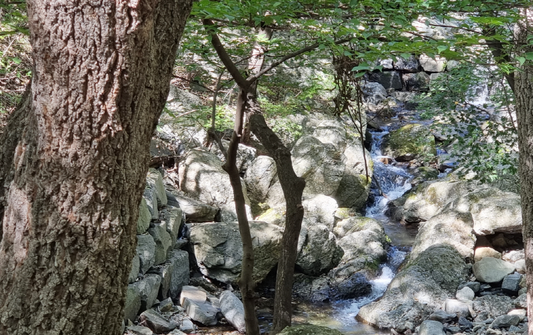 성주산 자연휴양림