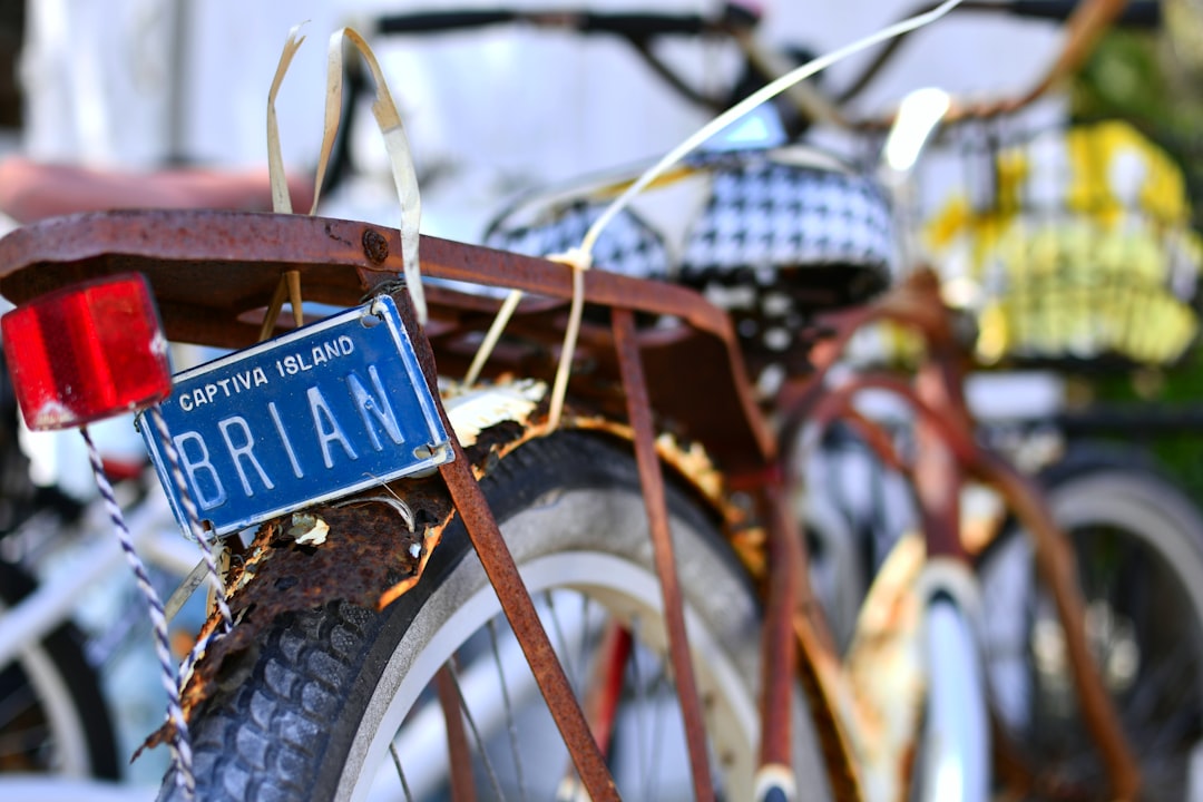 License plate