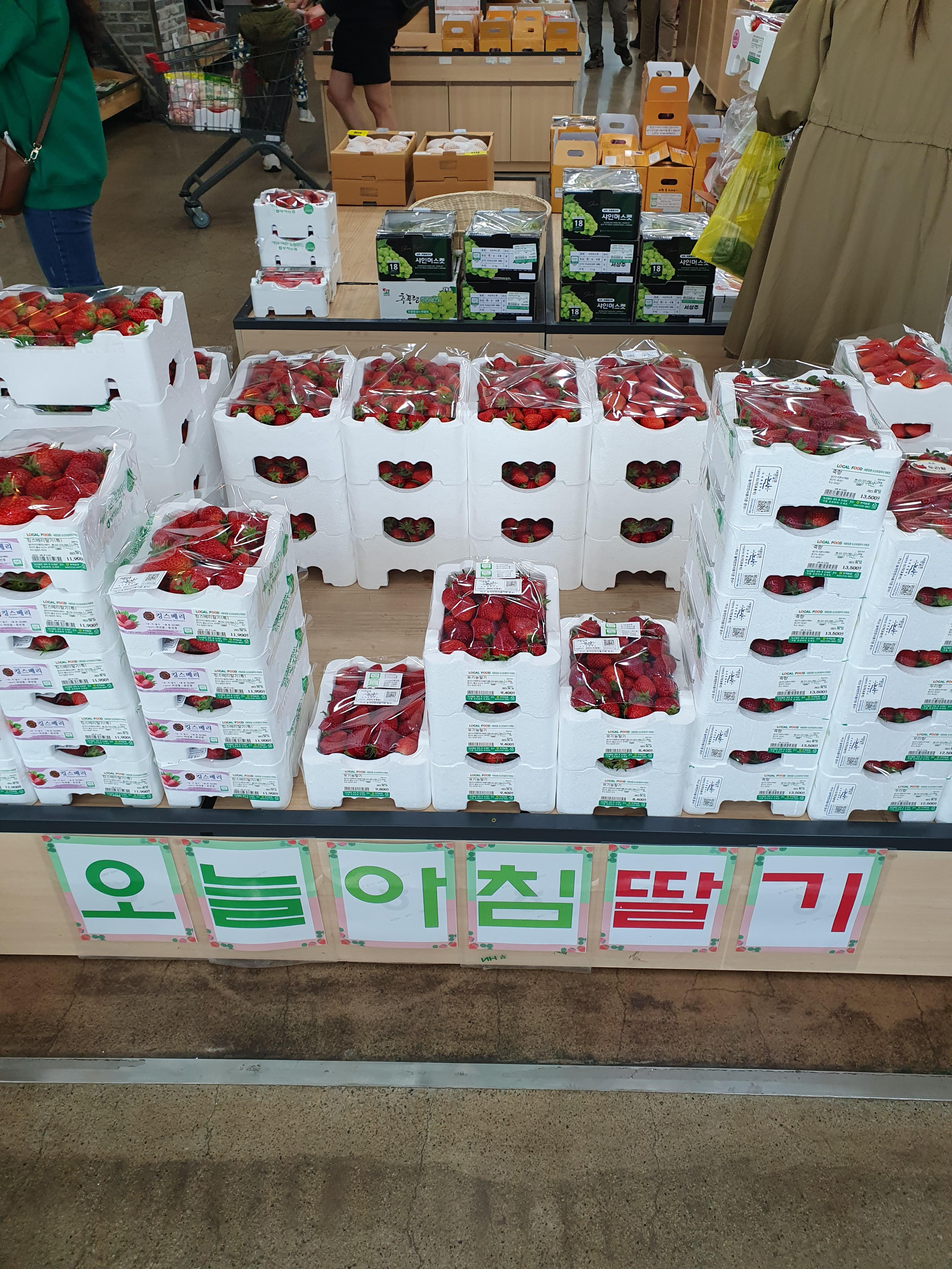 새콤달콤 논산 로컬푸드 직매장에서 판매하는 딸기