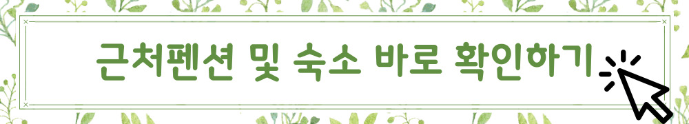 아침고요수목원 오색별빛정원전