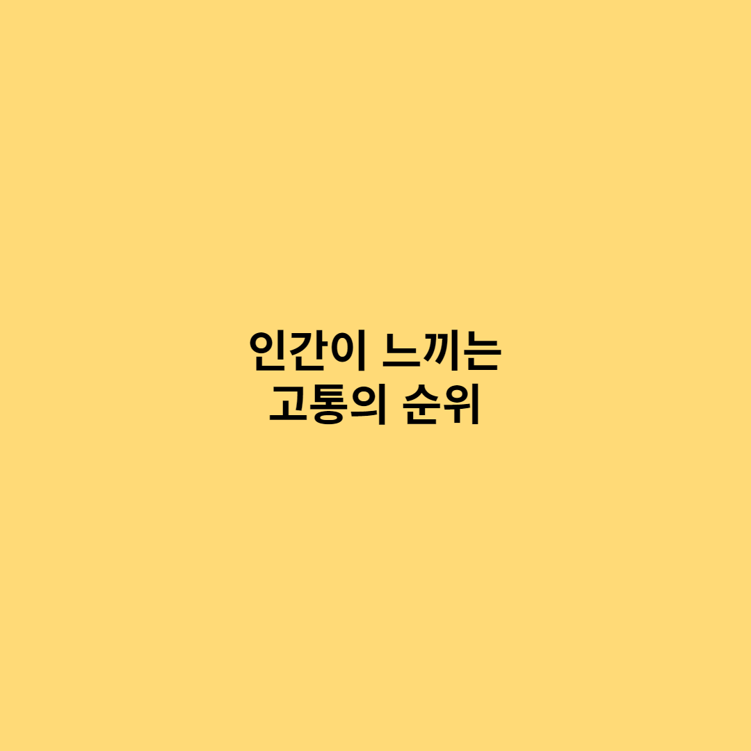 맥길 통증 지수