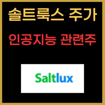 솔트룩스 기업 이미지