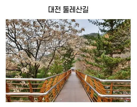 숲길체험-둘레길코스