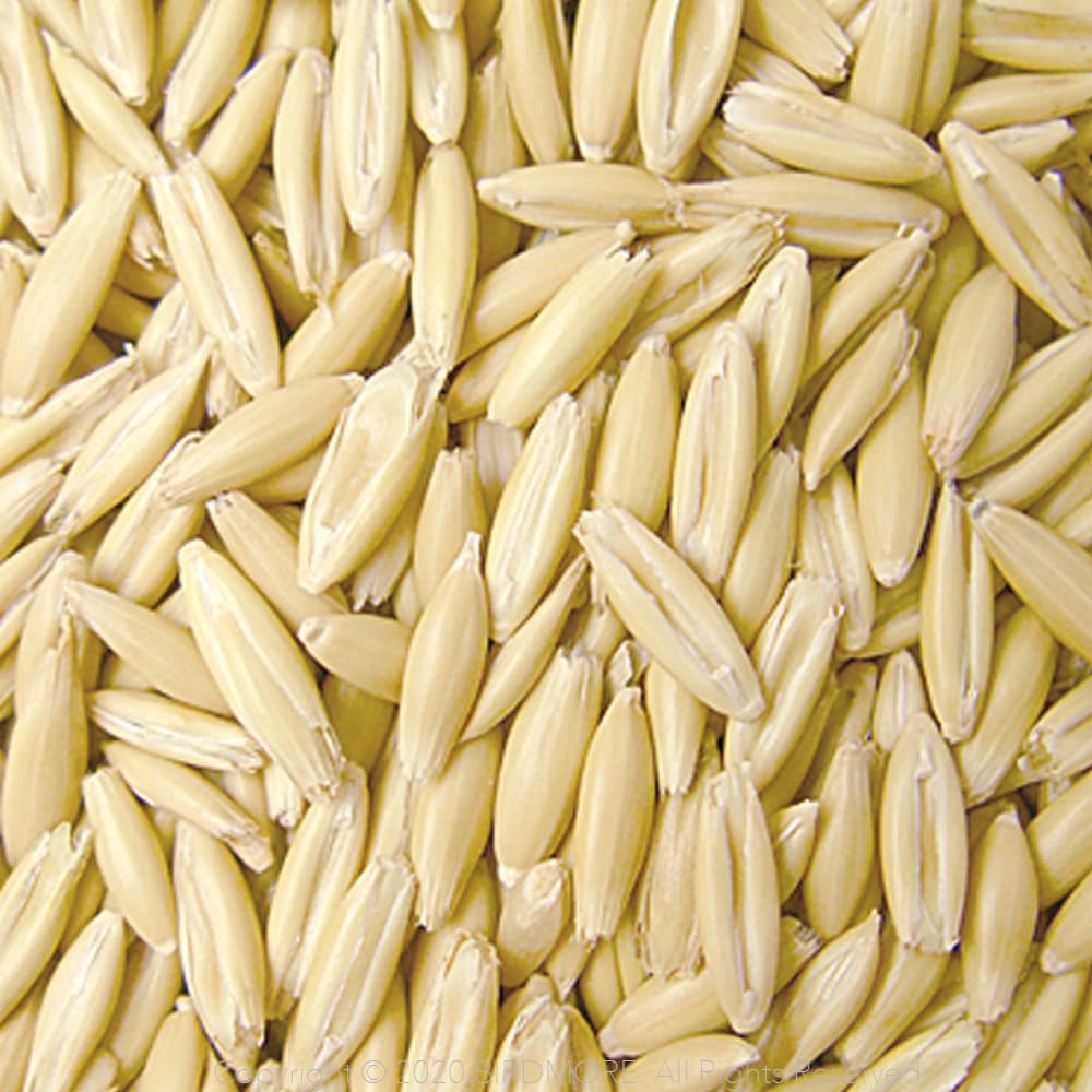 간경화에 좋은 음식 10가지