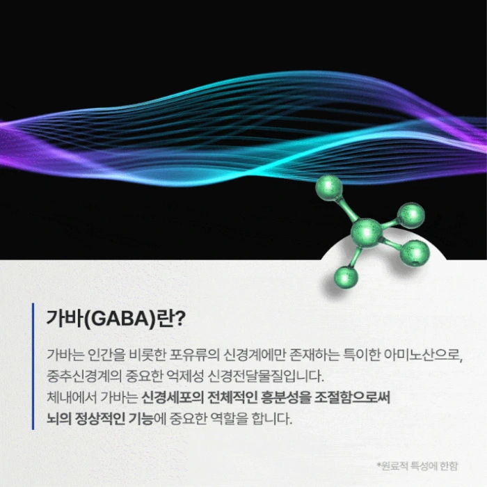 뉴티365 뉴티캄 내돈내산 후기 효과 성분 부작용 복용법 가격