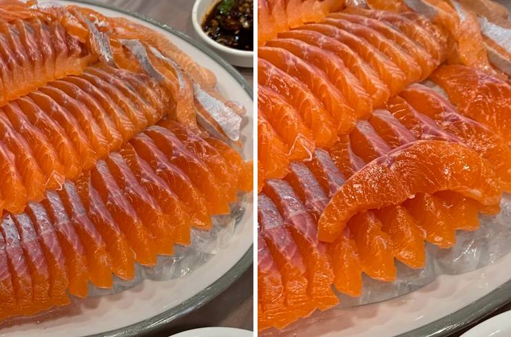 몸통 살과&#44; 지느러미 살