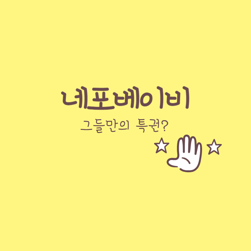 네포베이비