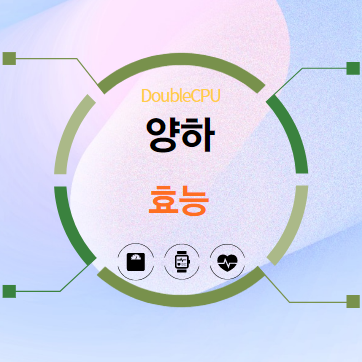 양하 효능 탐구