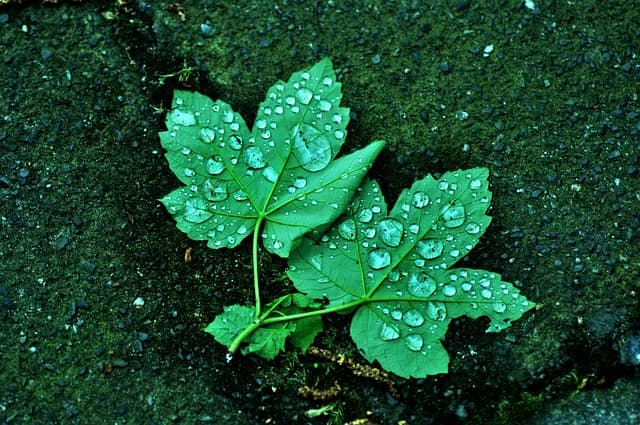 자백 번복 진술에 대한 증거능력 인정 기준 변화