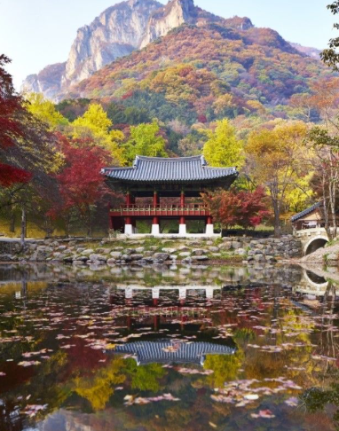 2025 전국 국립공원 TOP5 단풍 절정 시기 총정리 ❘ 가을 산행 준비 꿀팁