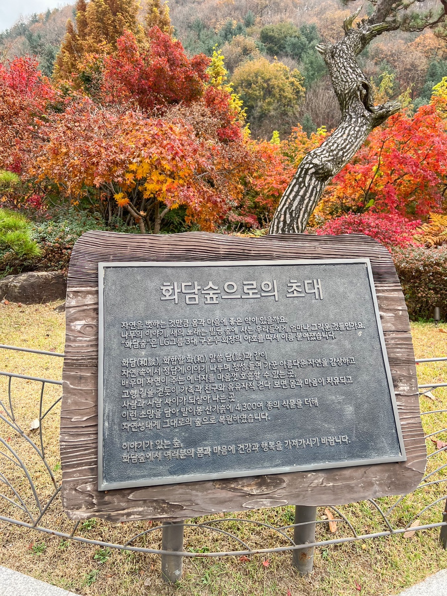 곤지암-화담숲-예약-전쟁-승리-2025년-최신-정보-총정리