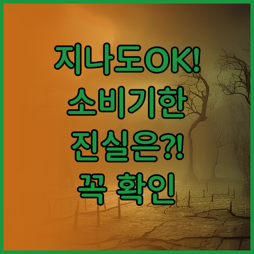 유통기한 지나도 먹을 수 있는 소비기..
