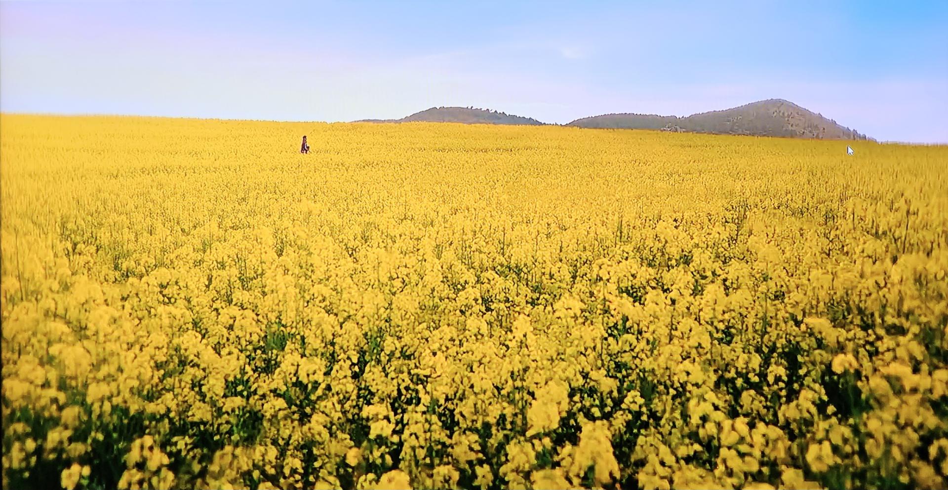 폭싹 속았수다 고창 학원농장 입장료 및 이용 정보 총정리