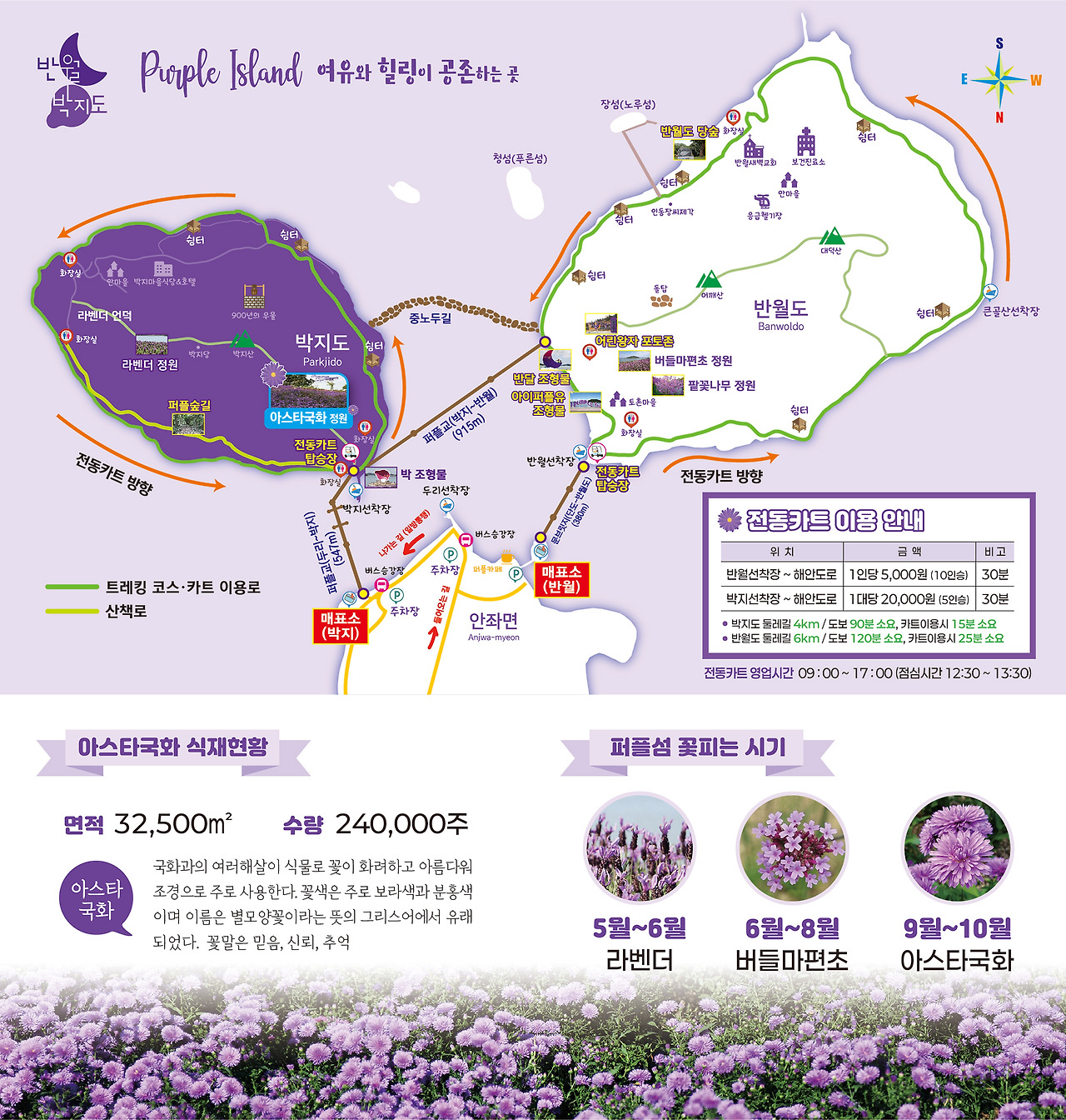축제 팜플릿1